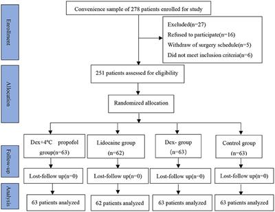 Intravenous Dexmedetomidine Administration Prior Anesthesia Induction With Propofol at 4°C Attenuates Propofol Injection Pain: A Double-Blind, Randomized, Placebo-Controlled Trial